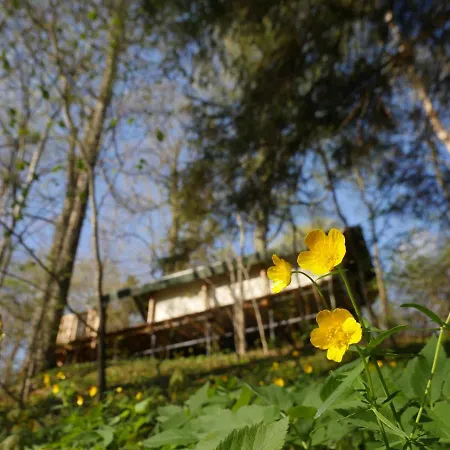 Luxury tent Mezurgu Teltis Dikli